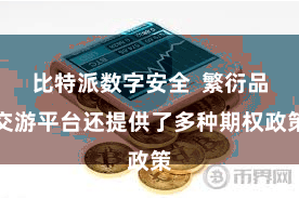 比特派数字安全  繁衍品交游平台还提供了多种期权政策